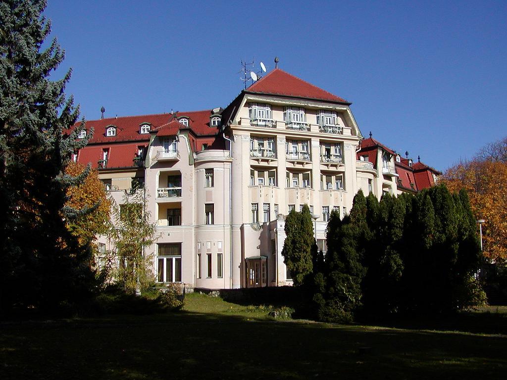 Thermia Palace Komplex 5* - смотреть фото 1 Отель Thermia Palace Komplex 5*, Пьештяны - фото 1