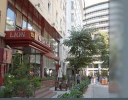 Горящие туры в отель Lion Hotel 4*, Стамбул, 