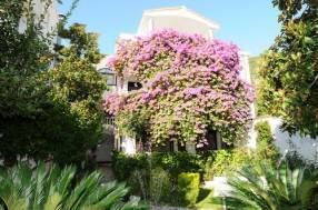Горящие туры в отель Garden Pavlovic 4*, Будва, 