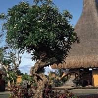 Горящие туры в отель The Oberoi Mauritius 5*, Маврикий, 