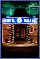 Горящие туры в отель Hali 3*, Стамбул, 