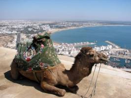 Горящие туры в отель Grand Tour Agadir (2-5 Pax & 7 Nights) 4*,  
