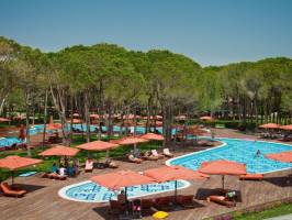 Горящие туры в отель Alva Donna Beach Resort Comfort (ex.Amara Beach Resort) 5*, Сиде, 