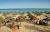 Hammamet Garden Resort Hammamet Garden Resort