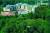 Lotus Therme & Spa Heviz (ex.Rogner Hotel & Spa Lotus Therme) Lotus Therme & Spa Heviz (ex.Rogner Hotel & Spa Lotus Therme)