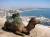Grand Tour Agadir (2-5 Pax & 7 Nights)