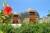 Bandos Island Resort
