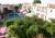 Cosman Hotel