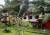 Chalston Beach Resort Chalston Beach Resort