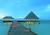 Vilu Reef Beach & Spa Resort Vilu Reef Beach & Spa Resort